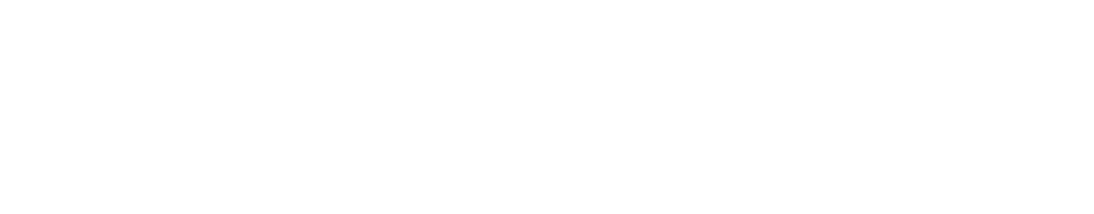 Logo NWP White